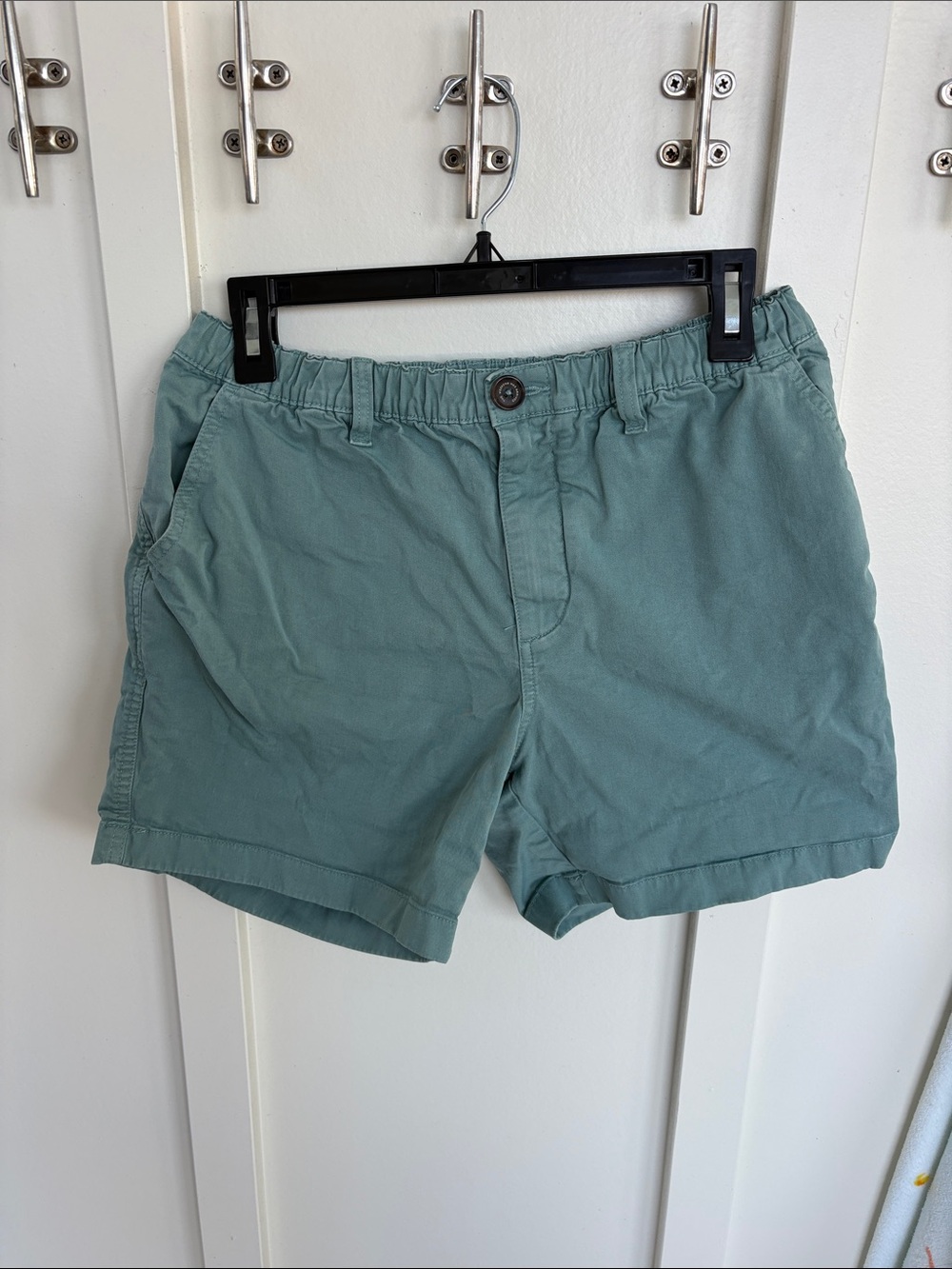 Men’s Casual Chubbies Elastic-Waist Shorts - Seafoam Green